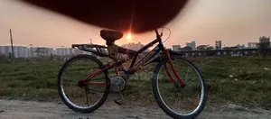 Bicycle, Bi Cycle