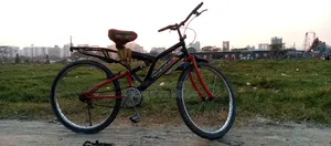 Bicycle, Bi Cycle