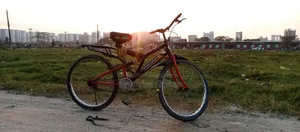 Bicycle, Bi Cycle