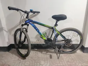Phoenix Bicycle
