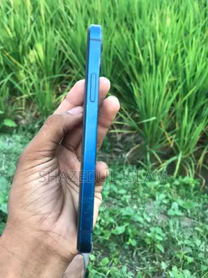Apple iPhone 12 128 GB Green