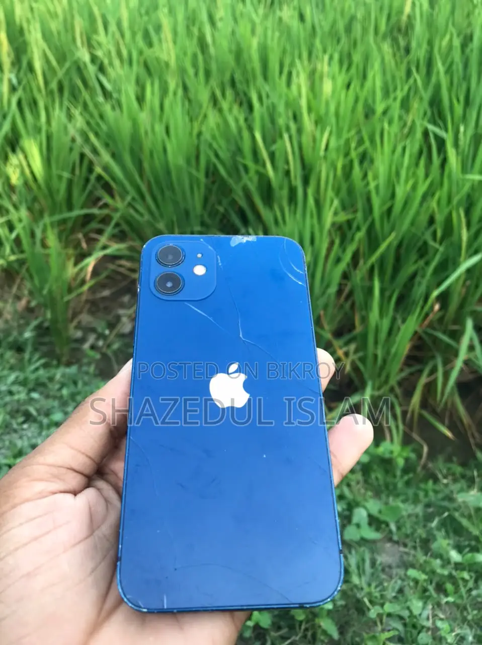 Apple iPhone 12 128 GB Green