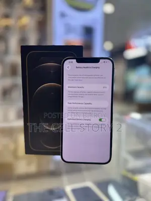 অ্যাপল আইফোন ১২ প্রো ম্যাক্স ২৫৬ জিবি গোল্ড