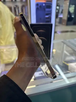 অ্যাপল আইফোন ১২ প্রো ম্যাক্স ২৫৬ জিবি গোল্ড