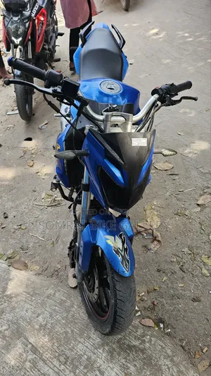 Roadmaster Rapido 165 2018 Blue