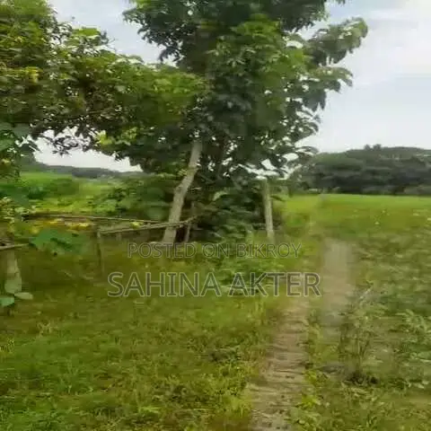 land for sell