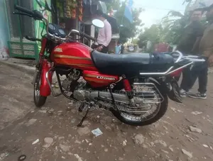 হিরো ডন ১০০ ২০১৩ লাল