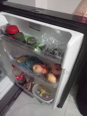 ফ্রিজ ফ্রস্ট ফ্রি