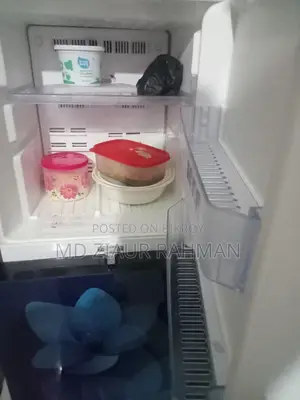 ফ্রিজ ফ্রস্ট ফ্রি