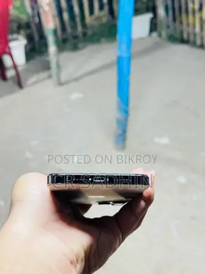 অ্যাপল আইফোন ১২ প্রো ম্যাক্স ৫১২ জিবি গোল্ড
