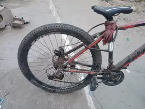 Phoenix Gear Cycle