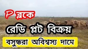 Photo - Block P 5 Katha Plot for Sale Bashundhara R/a Housing