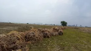 Block P 5 Katha Plot for Sale Bashundhara R/a Housing