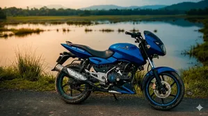 বাজাজ পালসার ১৫০ ২০১০ নীল