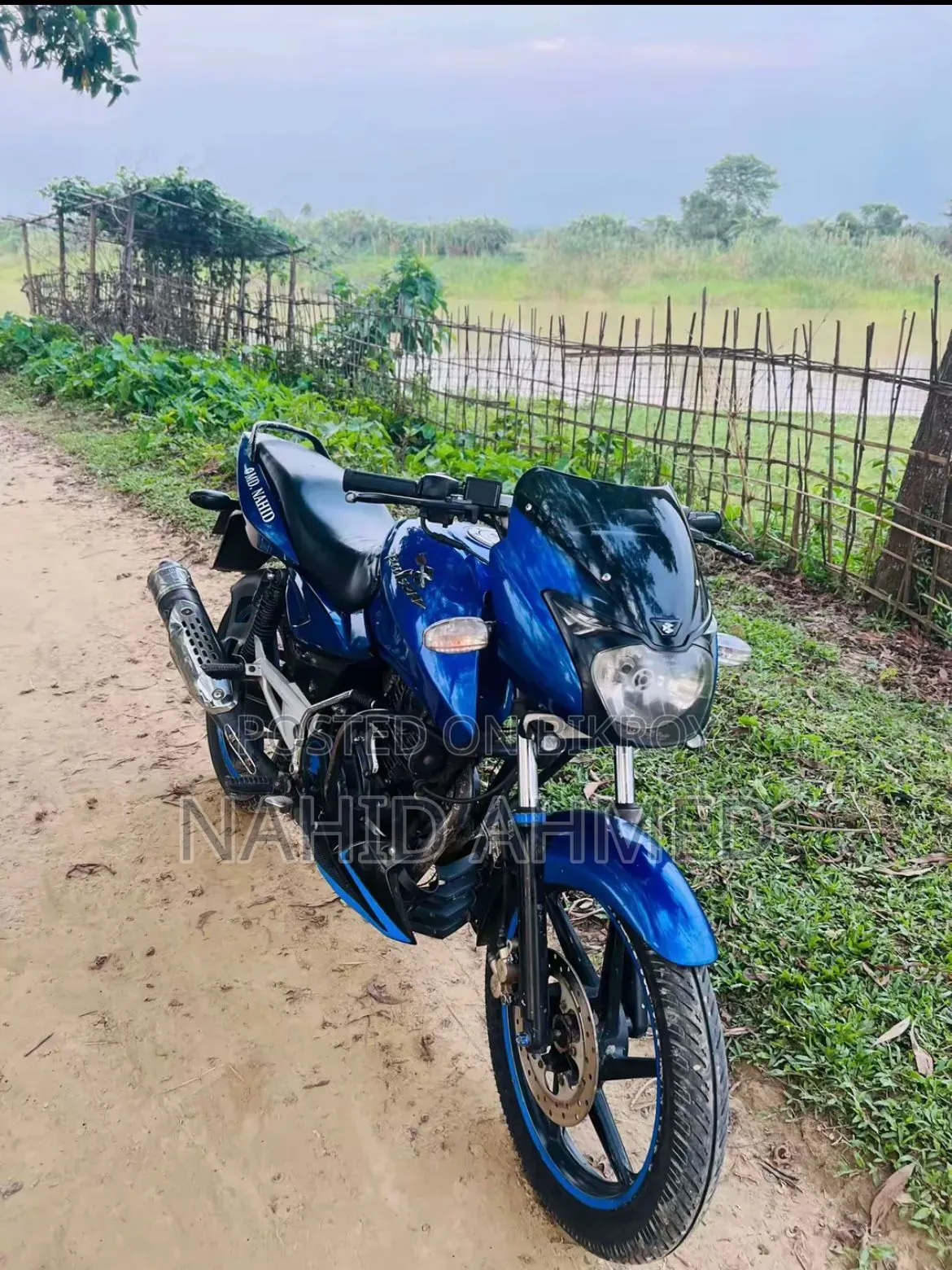 বাজাজ পালসার ১৫০ ২০১০ নীল