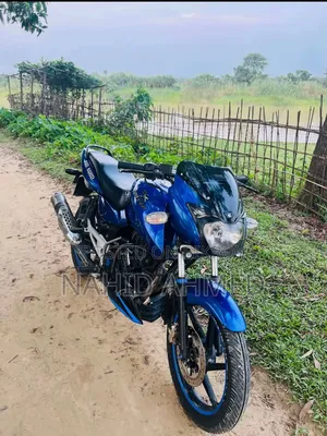 বাজাজ পালসার ১৫০ ২০১০ নীল