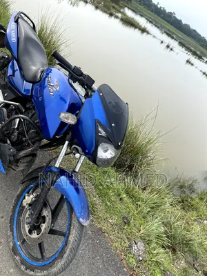 বাজাজ পালসার ১৫০ ২০১০ নীল