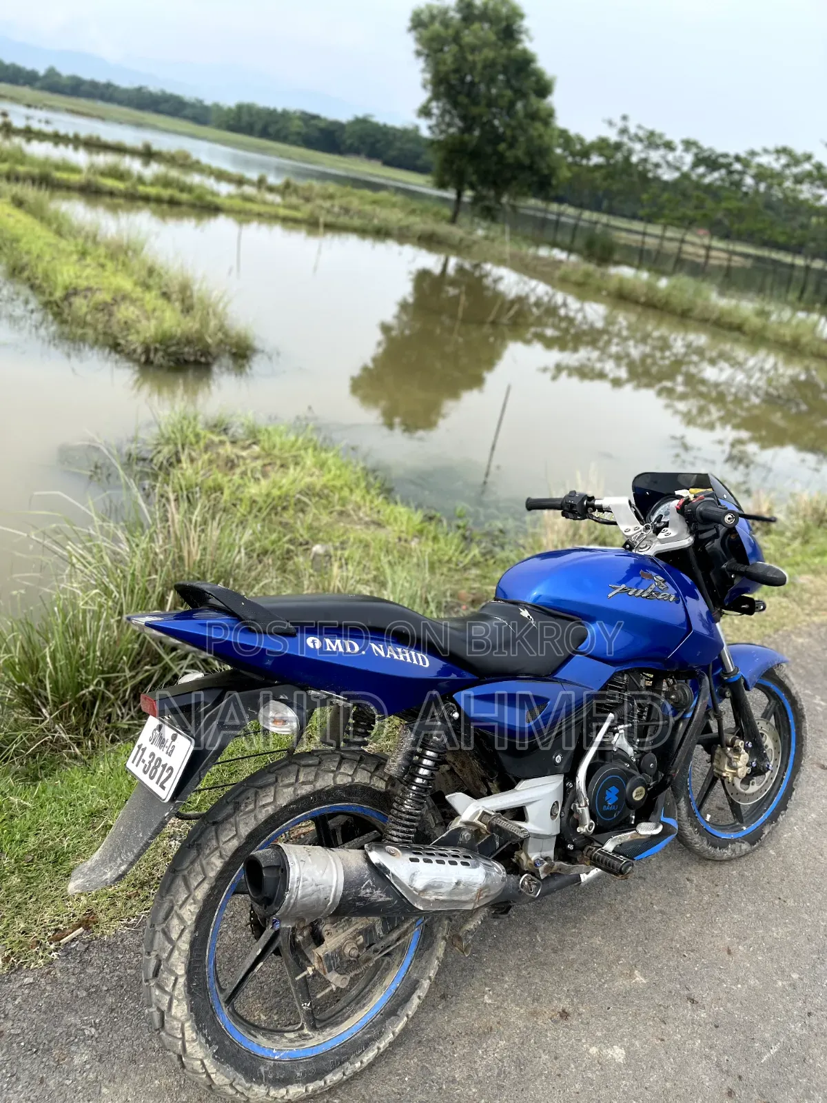 বাজাজ পালসার ১৫০ ২০১০ নীল