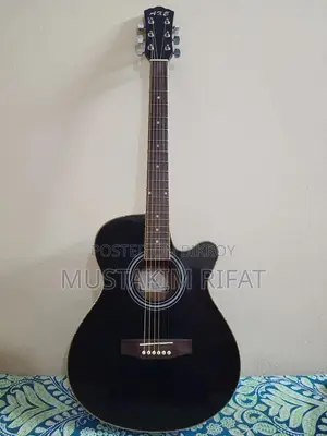 এক্স গিটার সেমি ইলেকট্রিক
