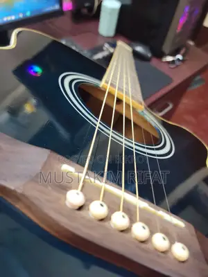 এক্স গিটার সেমি ইলেকট্রিক