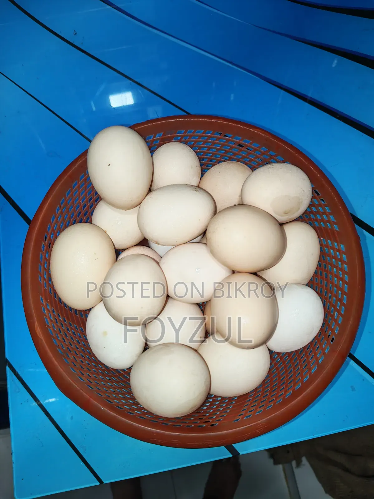 Tiger Chicken Eggs