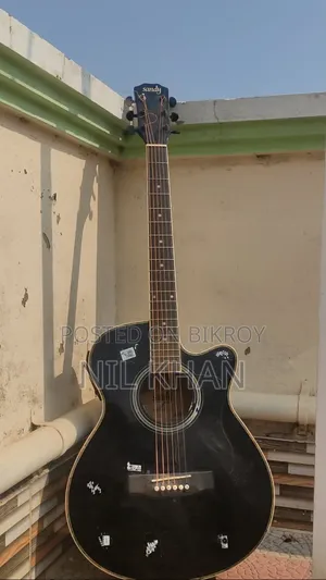 স্যান্ডি গিটার উইথ ইকুয়ালাইজার