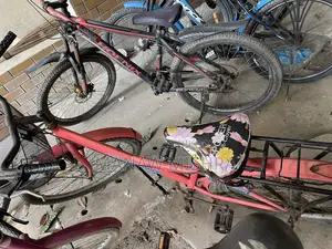 মহিলাদের বাইসাইকেল