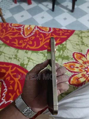 অ্যাপল আইফোন ১৩ প্রো ম্যাক্স ২৫৬ জিবি গোল্ড