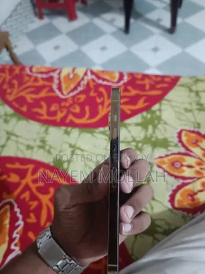 অ্যাপল আইফোন ১৩ প্রো ম্যাক্স ২৫৬ জিবি গোল্ড
