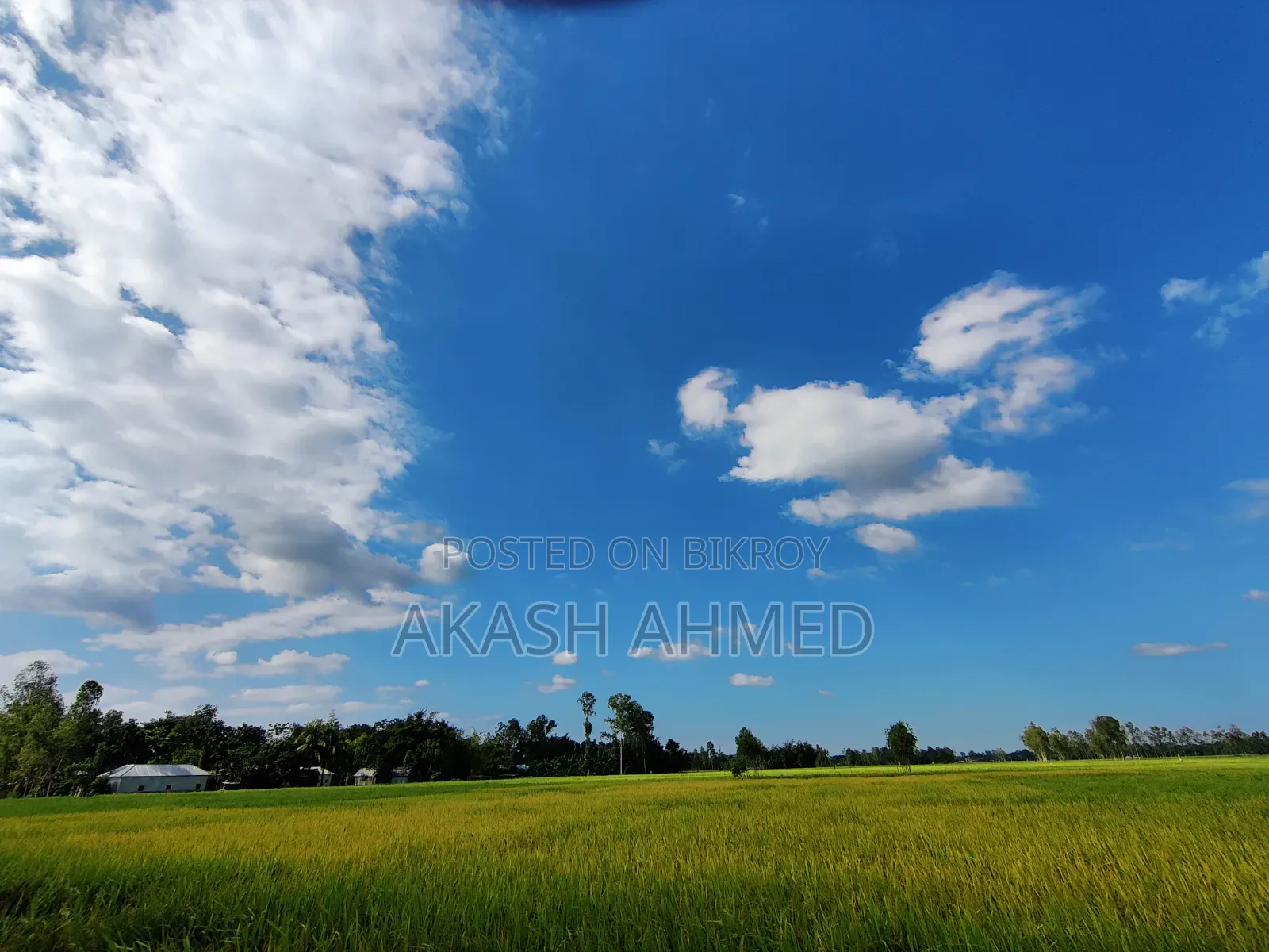 Land for Sale