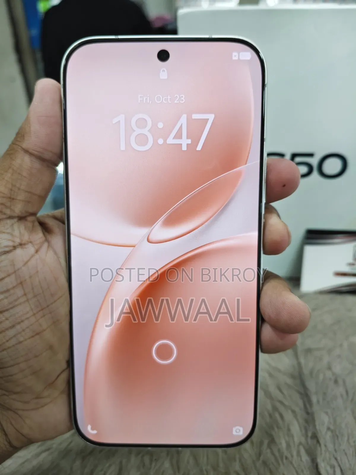 Vivo S50 256 GB Silver