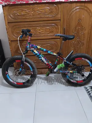 Phoenix Swat 20 Inch