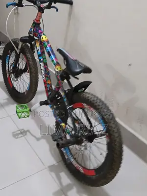 Phoenix Swat 20 Inch