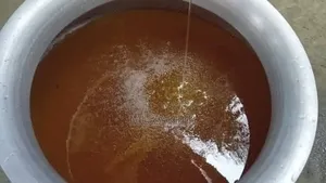 Village Honey
