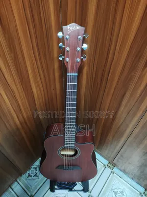 ইকুলাইজারসহ ডিভাইজার অ্যাকোস্টিক গিটার