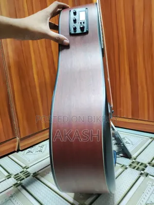 ইকুলাইজারসহ ডিভাইজার অ্যাকোস্টিক গিটার