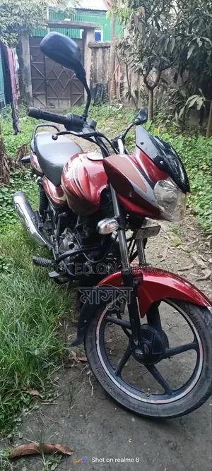 Bajaj Discover 100 2014 Red