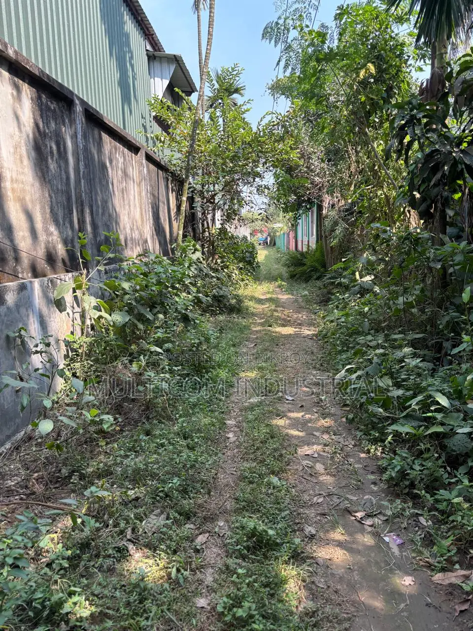 মাওনায় বিক্রয়ের জন্য ৩ বিঘা জমি