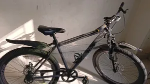 Non-Gear Bicycle