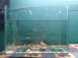 Aquarium for sale.