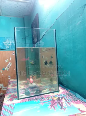 Aquarium for sale.