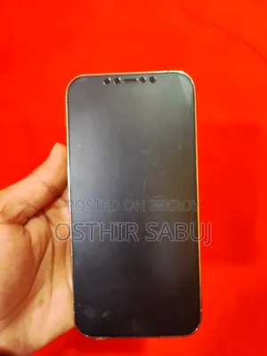 অ্যাপল আইফোন ১২ প্রো ২৫৬ জিবি হোয়াইট