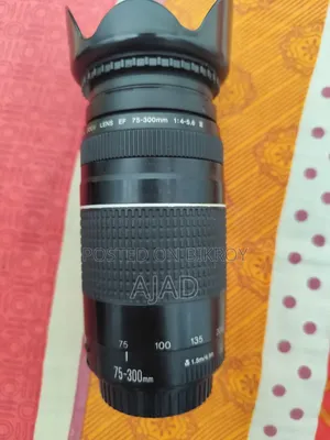 Canon EF 75-300mm F/4-5.6 III Lens