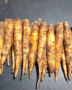 কচি কাঁচা শিমুল মূল এবং ভেজষ