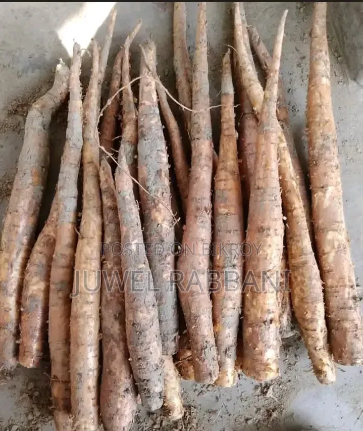 Tender Raw Silk Cotton Root and Herbs