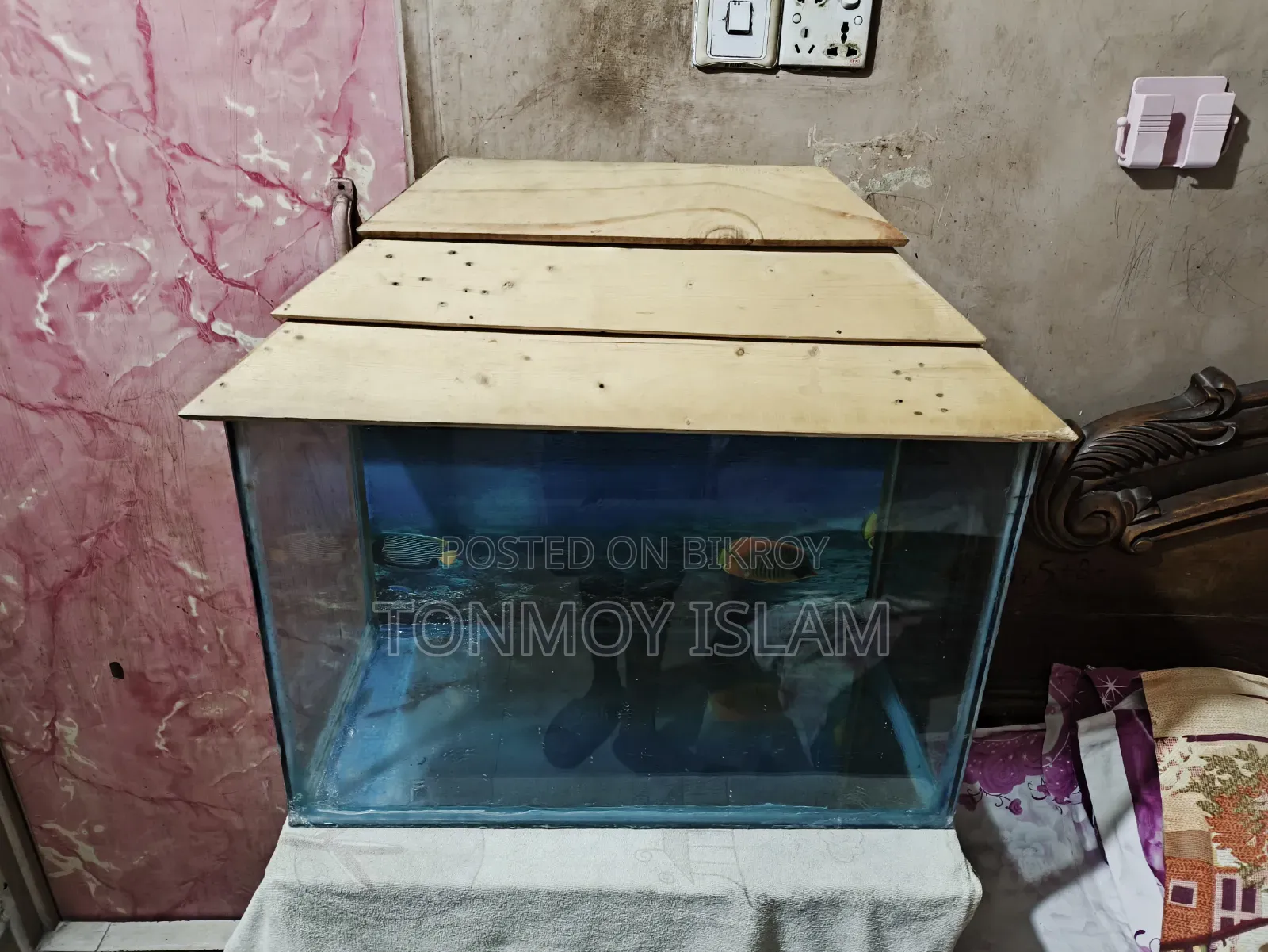 অ্যাকোয়ারিয়াম ২ ফুট বাই ১ ফুট