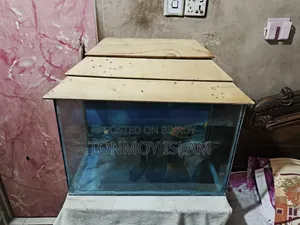 অ্যাকোয়ারিয়াম ২ ফুট বাই ১ ফুট