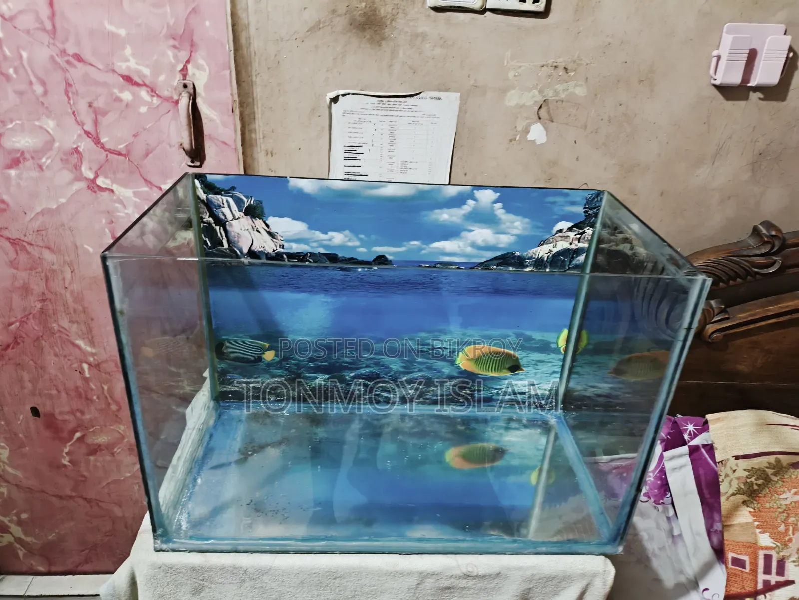 অ্যাকোয়ারিয়াম ২ ফুট বাই ১ ফুট