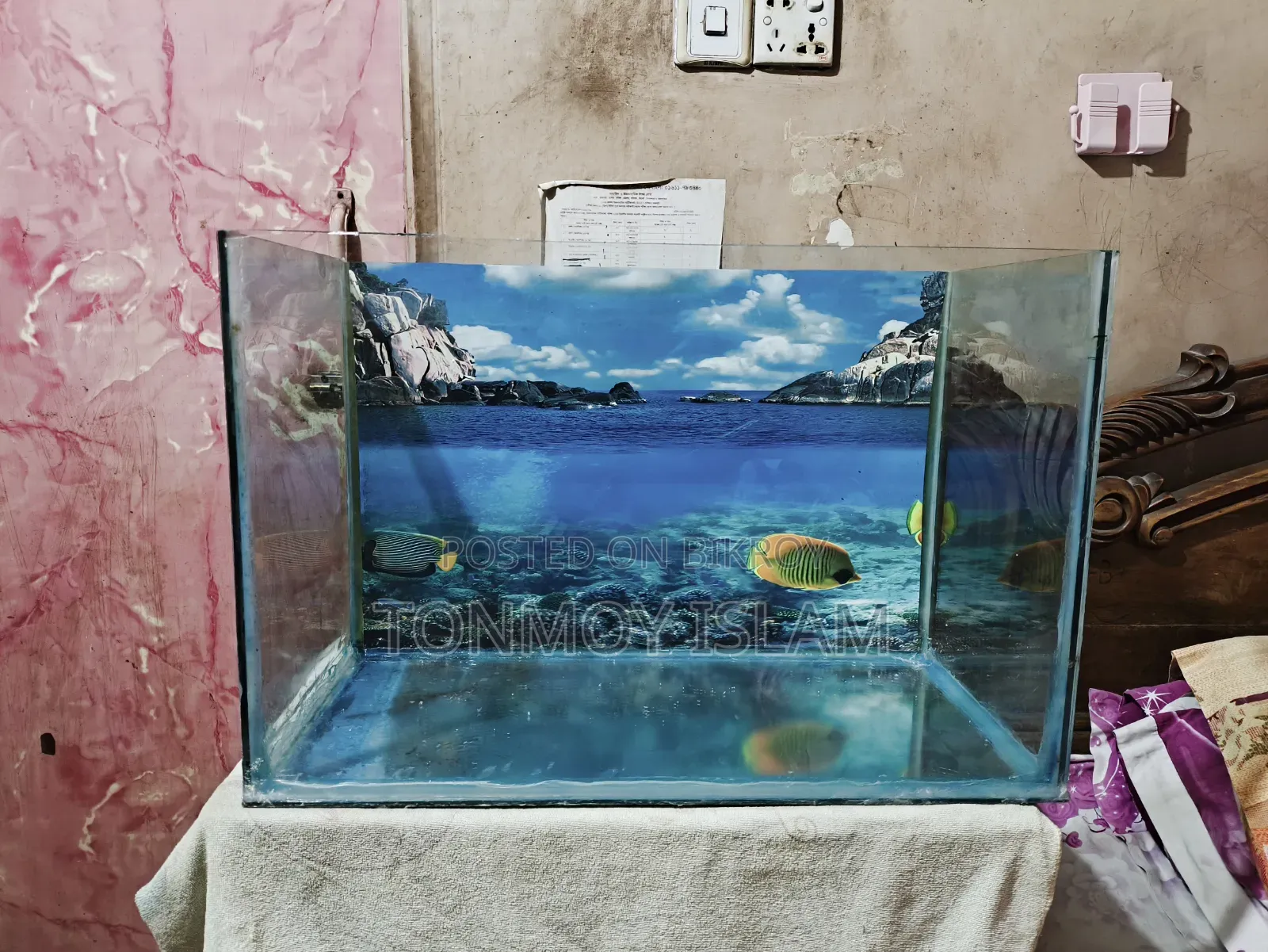 অ্যাকোয়ারিয়াম ২ ফুট বাই ১ ফুট