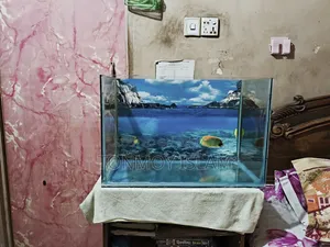 অ্যাকোয়ারিয়াম ২ ফুট বাই ১ ফুট